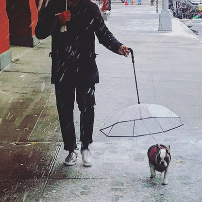 Transparent Dog Umbrella - Bark N Wish