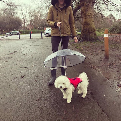 Transparent Dog Umbrella - Bark N Wish