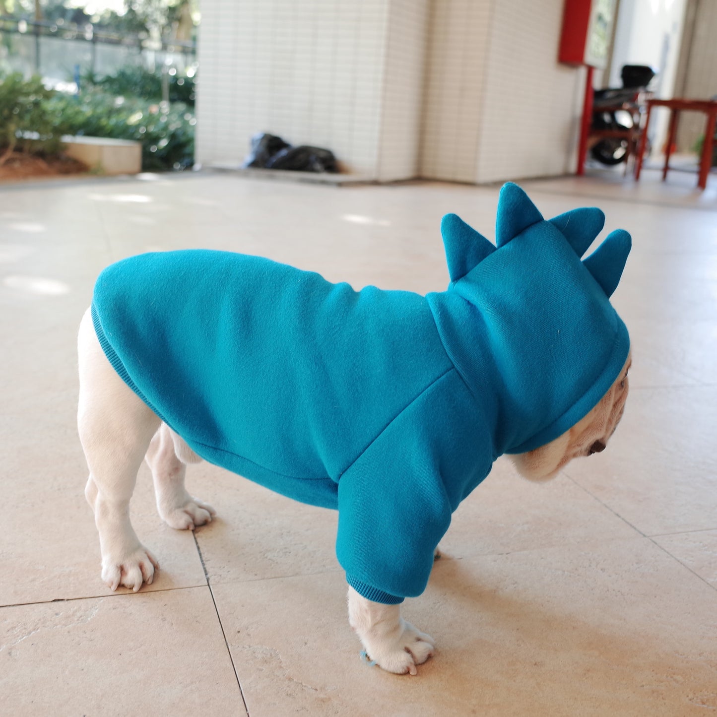 Cozy Fleece Solid Color Pet Hoodie - Bark N Wish