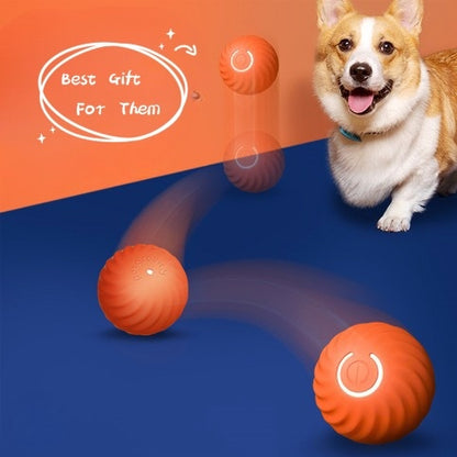 Pet Dog Rubber Ball Toys For Dogs Resistance To Bite Dog Chew Toys Puppy Pets Dogs Training Products - Bark N Wish