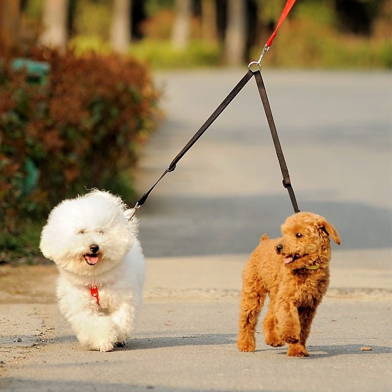 2-Dog Leash Coupler – Double Twin Lead for Walking - Bark N Wish